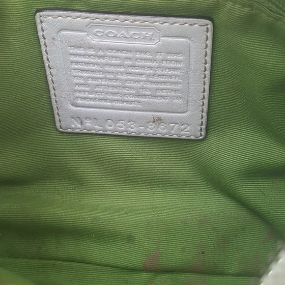 Coach LE Limited Bumble Bee Floral Y2K Mini Bag w Raffia Shoulder Purse - Picture 12 of 14